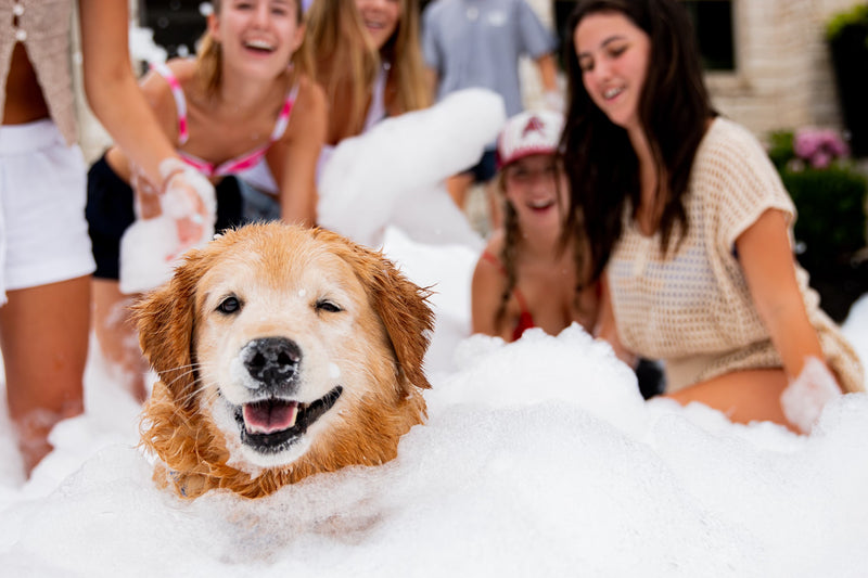 Ten Reasons Why Foam Parties are Exploding in Popularity